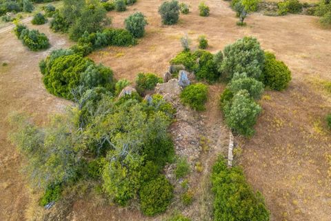 Tomt i Conceicao e Estoi, Faro, Conceicao e Estoi - € 170 000 | Ref: KWPT-016991 - foto 27