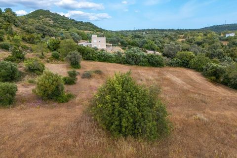 Tomt i Conceicao e Estoi, Faro, Conceicao e Estoi - € 170 000 | Ref: KWPT-016991 - foto 31