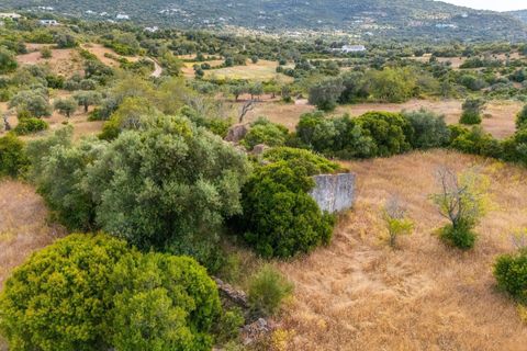 Tomt i Conceicao e Estoi, Faro, Conceicao e Estoi - € 170 000 | Ref: KWPT-016991 - foto 32