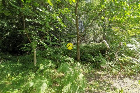 Landejendom i Treignat, Allier, Treignat - € 119.000 | Ref: 78MS110092 - foto 6