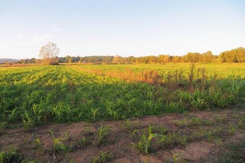 Farm hus i Sinalunga, Siena, Sinalunga - € 400.000 | Ref: a6380ta2270627a - foto 6