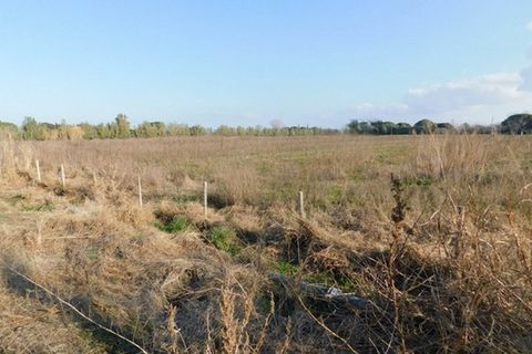 Farm hus i Grosseto, Grosseto, Grosseto - € 1.200.000 | Ref: a7631ta1732967a - foto 18