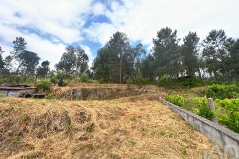 Helårsgrund i Amarante, Porto, Amarante - € 45.000 | Ref: 143995 - foto 21