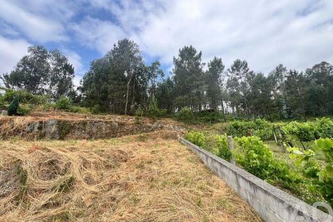 Helårsgrund i Amarante, Porto, Amarante - € 45.000 | Ref: 143995 - foto 22