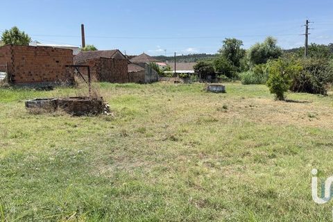 Terra a Santarem, Santarem, Santarem - € 25.100 | Ref: 668687 - foto 6