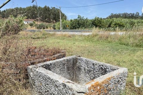 Terra a Santarem, Santarem, Santarem - € 25.100 | Ref: 668687 - foto 7