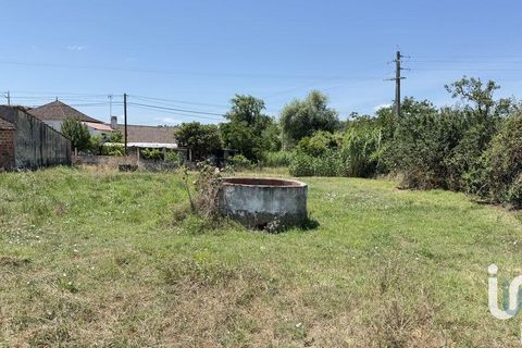 Terra a Santarem, Santarem, Santarem - € 25.100 | Ref: 668687 - foto 9