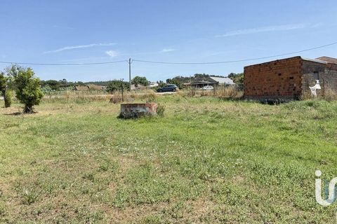 Terra a Santarem, Santarem, Santarem - € 25.100 | Ref: 668687 - foto 10