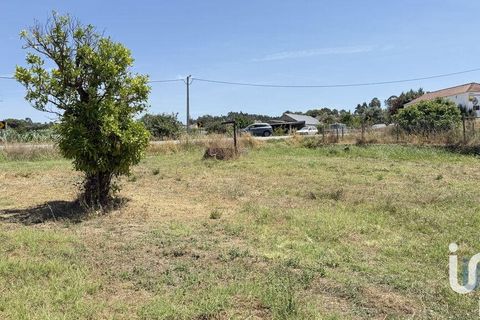 Terra a Santarem, Santarem, Santarem - € 25.100 | Ref: 668687 - foto 11