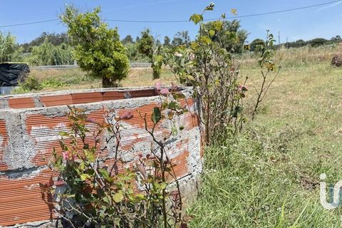 Terra a Santarem, Santarem, Santarem - € 25.100 | Ref: 668687 - foto 13