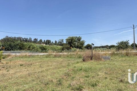 Terra a Santarem, Santarem, Santarem - € 25.100 | Ref: 668687 - foto 14