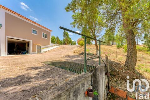 Stadthaus in Abrantes, Santarem, Abrantes - € 500.000 | Ref: 670414 - Foto 12