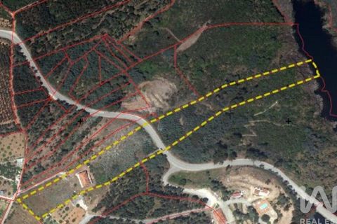 Stadthaus in Abrantes, Santarem, Abrantes - € 500.000 | Ref: 670414 - Foto 40