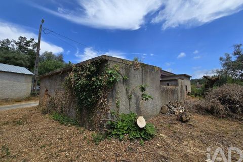 Byhus i Arganil, Coimbra, Arganil - € 79.000 | Ref: 146021 - foto 17