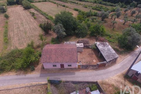 Byhus i Arganil, Coimbra, Arganil - € 79.000 | Ref: 146021 - foto 21