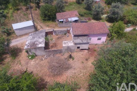 Byhus i Arganil, Coimbra, Arganil - € 79.000 | Ref: 146021 - foto 22