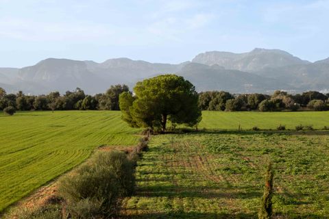 Finca i Sencelles, Mallorca, Sencelles - € 3.500.000 | Ref: 81969 - foto 17