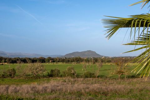 Finca i Sencelles, Mallorca, Sencelles - € 3.500.000 | Ref: 81969 - foto 18