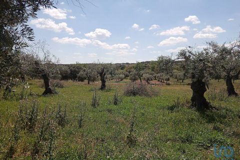 Stadthaus in Avis, Portalegre, Avis - € 55.000 | Ref: 83310 - Foto 8