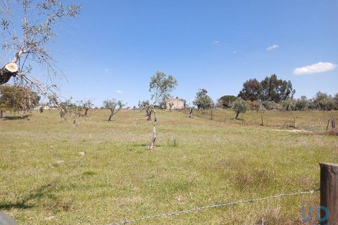 Stadthaus in Avis, Portalegre, Avis - € 55.000 | Ref: 83310 - Foto 9