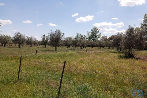Stadthaus in Avis, Portalegre, Avis - € 55.000 | Ref: 83310 - Foto 10