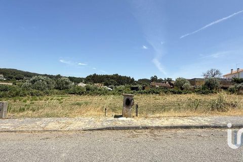 Terra a Santarem, Santarem, Santarem - € 21.100 | Ref: 668671 - foto 4
