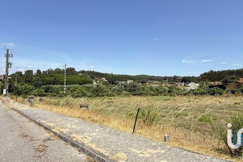 Terra a Santarem, Santarem, Santarem - € 21.100 | Ref: 668671 - foto 8