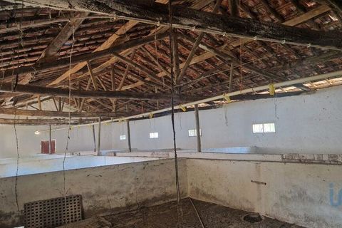 Byhus i Batalha, Leiria, Batalha - € 168.000 | Ref: 145936 - foto 4