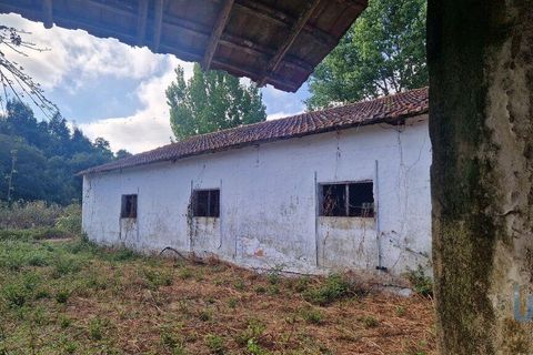Byhus i Batalha, Leiria, Batalha - € 168.000 | Ref: 145936 - foto 6