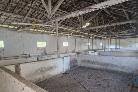 Byhus i Batalha, Leiria, Batalha - € 168.000 | Ref: 145936 - foto 10