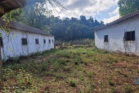Byhus i Batalha, Leiria, Batalha - € 168.000 | Ref: 145936 - foto 11