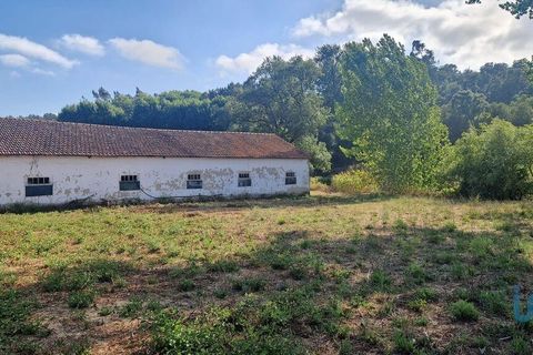 Byhus i Batalha, Leiria, Batalha - € 168.000 | Ref: 145936 - foto 15