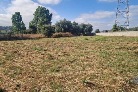 Byhus i Batalha, Leiria, Batalha - € 168.000 | Ref: 145936 - foto 16