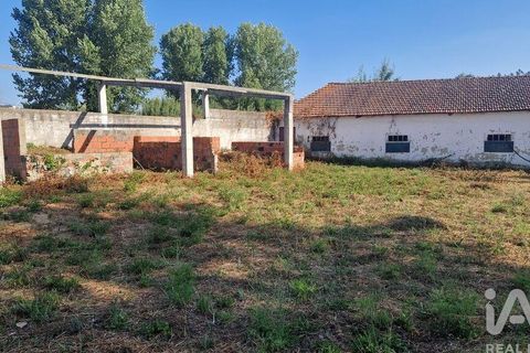 Byhus i Batalha, Leiria, Batalha - € 168.000 | Ref: 145936 - foto 22