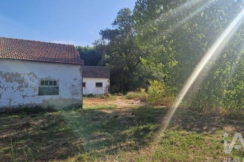 Byhus i Batalha, Leiria, Batalha - € 168.000 | Ref: 145936 - foto 24