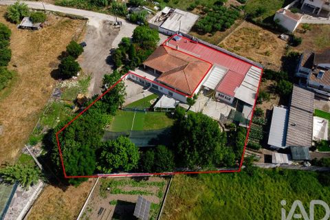 Byhus i Leiria, Leiria, Leiria - € 585.000 | Ref: 144559 - foto 28
