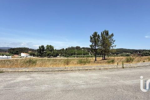 Terra a Santarem, Santarem, Santarem - € 32.600 | Ref: 668682 - foto 3
