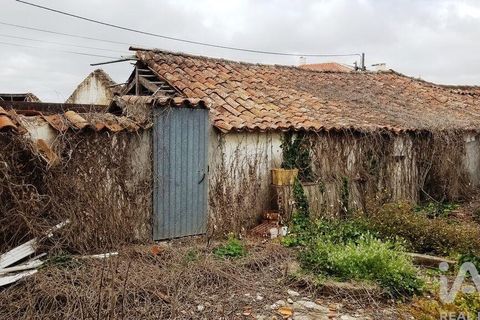 Byhus i Bombarral, Leiria, Bombarral - € 240.000 | Ref: 115819 - foto 20