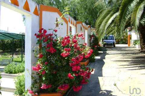 Terra a Beja, Beja, Beja - € 2.500.000 | Ref: 12962 - foto 2