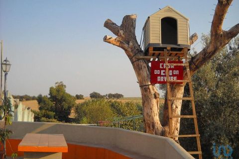 Terra a Beja, Beja, Beja - € 2.500.000 | Ref: 12962 - foto 15