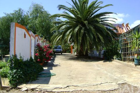 Terra a Beja, Beja, Beja - € 2.500.000 | Ref: 12962 - foto 16