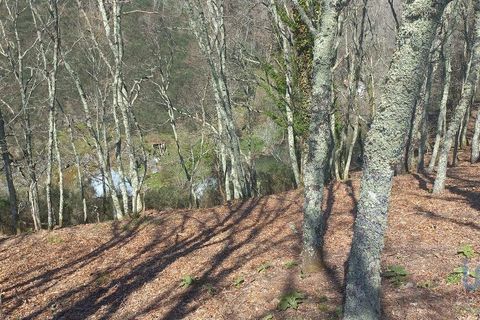 Terra a Baiao, Porto, Baiao - € 69.500 | Ref: 115865 - foto 2