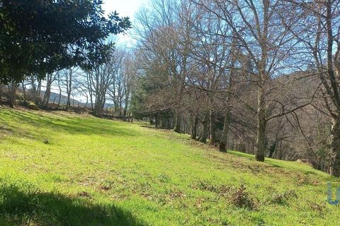 Terra a Baiao, Porto, Baiao - € 69.500 | Ref: 115865 - foto 3