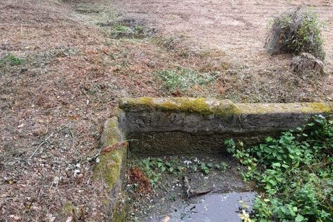 Terra a Baiao, Porto, Baiao - € 69.500 | Ref: 115865 - foto 7