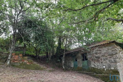 Terra a Baiao, Porto, Baiao - € 69.500 | Ref: 115865 - foto 8