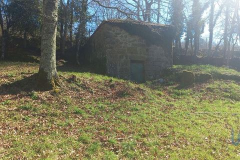 Terra a Baiao, Porto, Baiao - € 69.500 | Ref: 115865 - foto 9