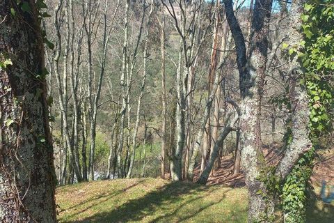 Terra a Baiao, Porto, Baiao - € 69.500 | Ref: 115865 - foto 10
