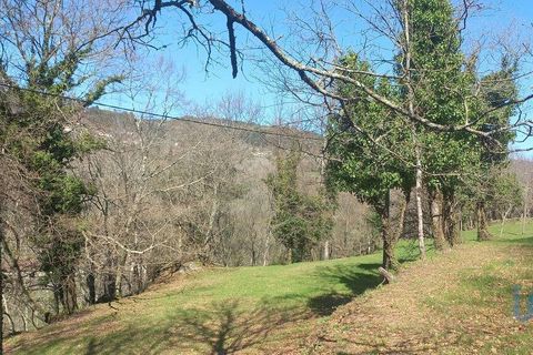 Terra a Baiao, Porto, Baiao - € 69.500 | Ref: 115865 - foto 11