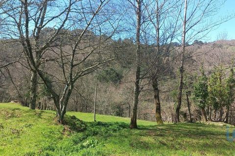 Terra a Baiao, Porto, Baiao - € 69.500 | Ref: 115865 - foto 13