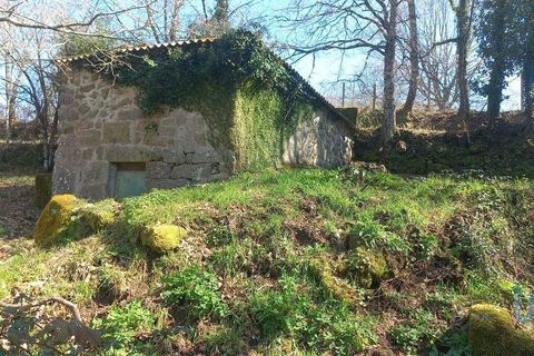Terra a Baiao, Porto, Baiao - € 69.500 | Ref: 115865 - foto 14